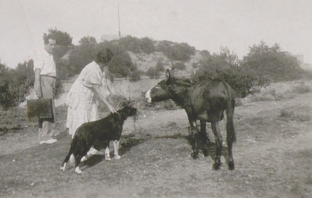 Jean et Germaine Paulhan à Port-Cros, avec un chien et un âne